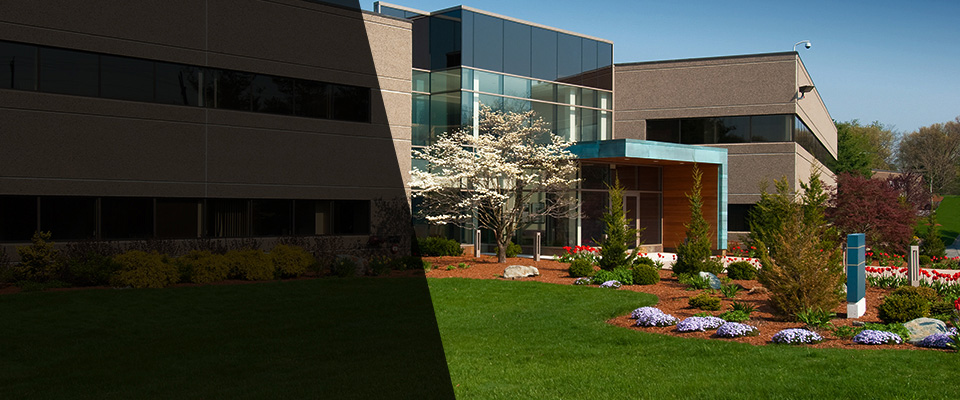 Arcadia Landscapers