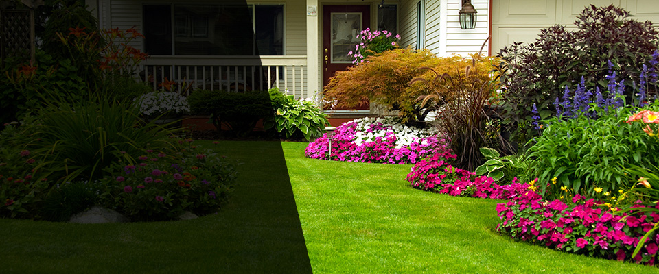 Arcadia Landscapers